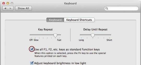 role of function keys on mac keyboard